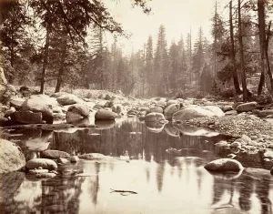 American Landscape Images Prints: Merced River, ca. 1872, printed ca. 1876. Creator: Attributed to Carleton E. Watkins