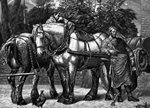 The Midday Rest, 1863 Print from The Magazine of Art