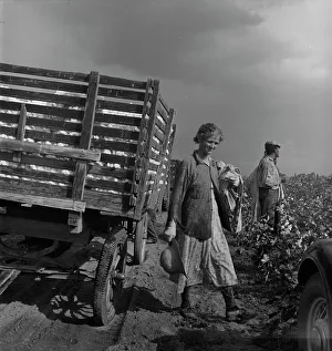 Agricultural Laborers Prints: Migratory cotton pickers have stopped working because it started to rain