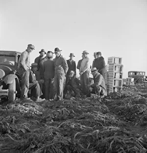 Migratory Field Workers Print, 1939
