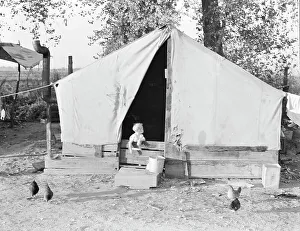 Great Depression Era Housing Prints: Migratory orange picker's camp, Exeter, California, 1936. Creator: Dorothea Lange