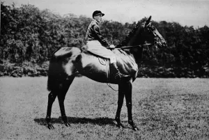 British Sportsmen 1911 Prints: Minoru, 1911