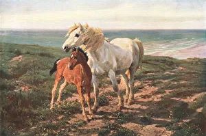 British Public Picture Galleries Prints: Mother and Son, 1881, (c1902). Creator: Unknown