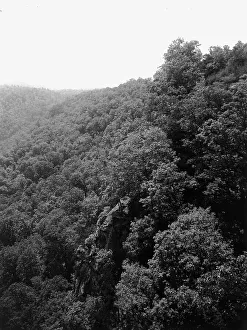 Black And White Mountain Landscape Prints: Mountainside with trees, between 1900 and 1920. Creator: Unknown