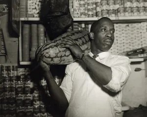 Mr. J. Benjamin, owner of the grocery store patronized by Mrs. Ella Watson... Washington, DC, 1942 Mr. J. Benjamin, owner of the grocery store patronized by Mrs. Ella Watson... Washington, DC, 1942