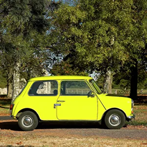 Austin Mini Print - Mr. Beans Classic Car Image