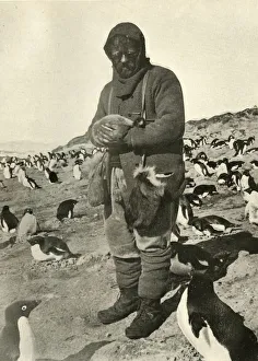 Antarctic Explorer Prints: Murray Holding Young Penguins, c1908, (1909)