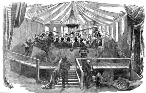 Naturalists dining inside a model of a dinosaur, Crystal Palace, Sydenham, New Years Eve Naturalists dining inside a model of a dinosaur, Crystal Palace, Sydenham, New Years Eve