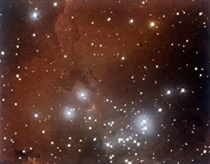 Nebulosity and star cluster in Serpens. Creator: NASA Nebulosity and star cluster in Serpens. Creator: NASA