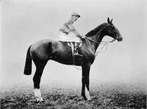 Monochrome Horses Prints: Neil Gow, 1911