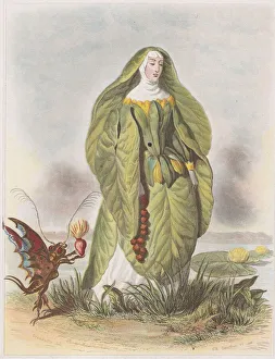 Nenuphar, from Les Fleurs Animées, 1847. Creator: Charles-Michel Geoffroy Nenuphar, from Les Fleurs Animées, 1847. Creator: Charles-Michel Geoffroy