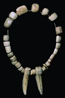 Neolithic Bone and Tooth Necklace Print