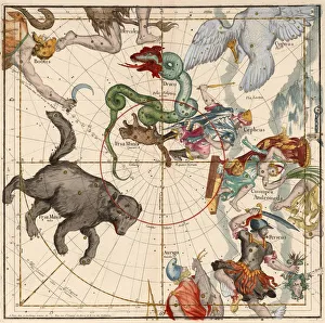 North Pole, Plate 1 from Globi coelestis in tabulas planas redacti descriptio, 1674 North Pole, Plate 1 from Globi coelestis in tabulas planas redacti descriptio, 1674