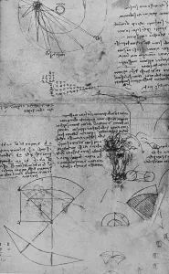 Black And White Horse Illustrations Prints: Notes on Astronomy and Study of a Horses Head, c1480 (1945). Artist: Leonardo da Vinci