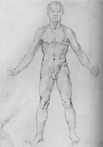 Nude Man With Arms Stretched Out, Seen from the Front, c1480 (1945). Artist: Leonardo da Vinci Nude Man With Arms Stretched Out, Seen from the Front, c1480 (1945). Artist: Leonardo da Vinci