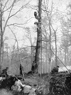 Black And White Rural Scene Prints: An observation point, 1915