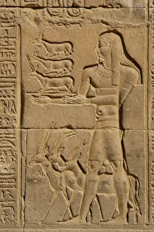Hand Carved Stone Sculpture Prints: Offerer relief, Temple of Kom Ombo