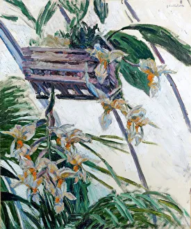 Gustave Caillebotte Art Prints: Orchids, 1893