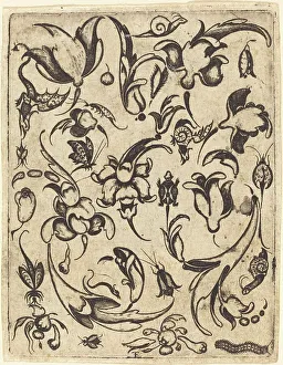 Dragon Mythological Creature Prints: Ornament. Creator: Master T.F