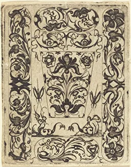 Historic Insect Illustrations Prints: Ornament. Creator: Master T.F
