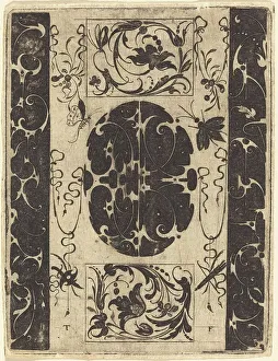 Historic Insect Depiction Prints: Ornament. Creator: Master T.F