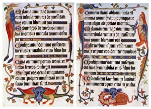 Mythical Beast Prints: Print of the Luttrell Psalter page with floral decoration and mythical beasts