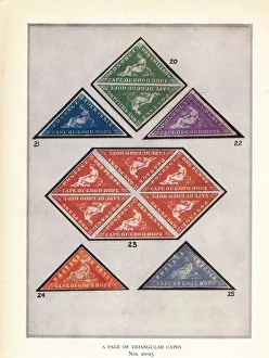 Print of Triangular Cape Stamps