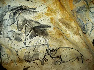 Cave Painting Prints: Upper Paleolithic Cave Painting Print, 32,000-30,000 BC