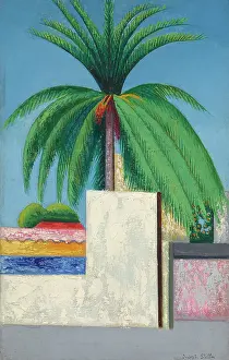 Landscape Oil On Canvas Prints: Palm Tree, c1930. Creator: Stella, Joseph (1877-1946)
