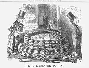 London Zoo Animals Prints: The Parliamentary Python, 1862