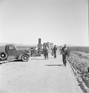 Five Hundred Pea Pickers, Sinclair Ranch Print, 1939
