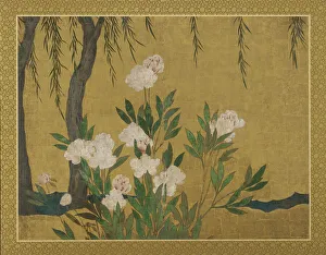 Peonies and willows, Momoyama or Edo period, Early 17th century. Creator: Hasegawa Tonin Peonies and willows, Momoyama or Edo period, Early 17th century. Creator: Hasegawa Tonin