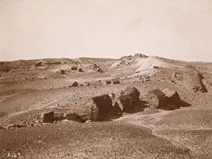 In the Petrified Forest Print, c. 1895-1897