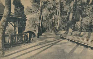 British Holiday Destinations Prints: The Pine Walk, 1929