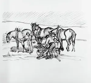 Agricultural Labourer Artwork Prints: Ploughing on the Downs, c1907. Creator: Robert Polhill Bevan