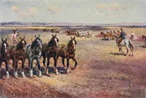 Ploughing on a Large Scale, 1923. Creator: Unknown Ploughing on a Large Scale, 1923. Creator: Unknown