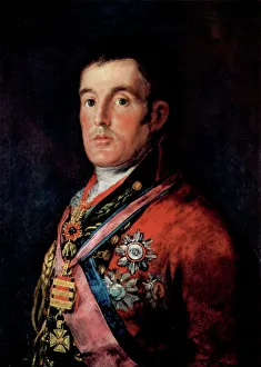 Portrait of Field Marshal Arthur Wellesley, 1st Duke of Wellington, c1814. Artist: Francisco Goya Portrait of Field Marshal Arthur Wellesley, 1st Duke of Wellington, c1814. Artist: Francisco Goya