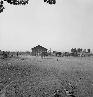 American Countryside Scenes Prints: Possibly: Chris Adolf, his team,