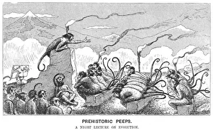 Images Dated 5th August 2005: Prehistoric Peeps: A Night Lecture on Evolution, 1894 Print