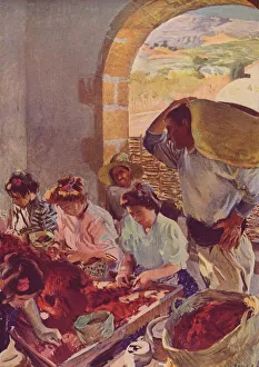 The Preparation of Dry Grapes, 1890, (c1932). Artist: Joaquin Sorolla y Bastida The Preparation of Dry Grapes, 1890, (c1932). Artist: Joaquin Sorolla y Bastida