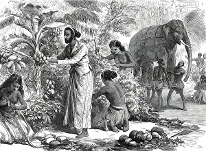 Preparing the decorations at Colombo, Ceylon for the Royal Visit 1876 Print
