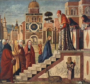 The Presentation of the Blessed Virgin Mary, 1502-1505 The Presentation of the Blessed Virgin Mary, 1502-1505