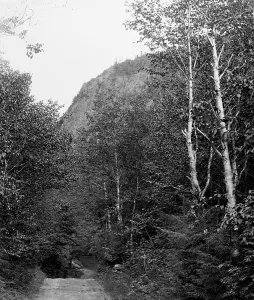 Profile and Notch Road, Dixville Notch Print, 1900-1906