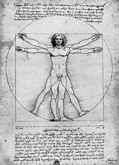Proportions of the human figure, c1492, (1936). Artist: Albrecht Durer Proportions of the human figure, c1492, (1936). Artist: Albrecht Durer