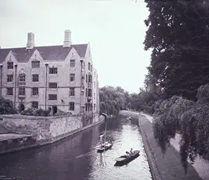 River Cam Boats Prints: Punting on The Backs at Cambridge, c1955