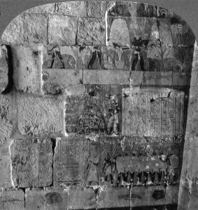 Queen Makeres expedition to East Africa - reliefs carved at Der-el-Bahri, Thebes, Egypt Queen Makeres expedition to East Africa - reliefs carved at Der-el-Bahri, Thebes, Egypt