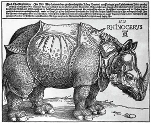 Rhinoceros, print given to Maximilian I by the King of Lisbon, 1515, (1936). Artist: Albrecht Durer Rhinoceros, print given to Maximilian I by the King of Lisbon, 1515, (1936). Artist: Albrecht Durer