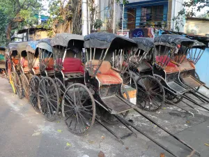 Rickshaws in Calcutta, India Print