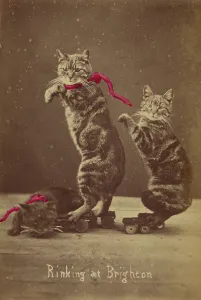 Print of Three Cats Skating at Brighton