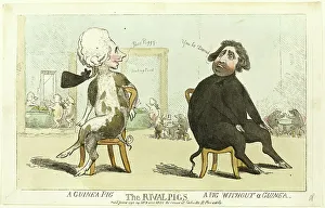 Prints of The Rival Pigs, published June 15, 1795 William Pitt The Younger Prints: The Rival Pigs Print, June 15, 1795